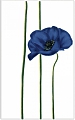 Monokolor Маки  декор синий цветок, 250x400, 340012
