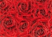 Престиж красный декор Роза, настенный 25x35