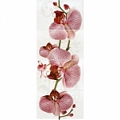 Fiori панно Орхидея 400x1000, 377087