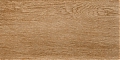 ALANIA напольная плитка, 20х40, керамогранит natural