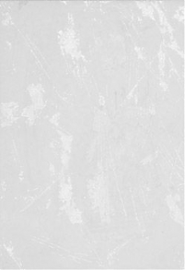 Коко Шанель ПО7КК000, плитка настенная, 24.9x36.4, облицовочная