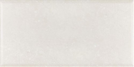 Астория ПО9МА024, настенная плитка, 24.9x50, облицовочная