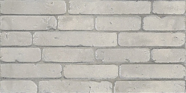 PORTLAND grey 01, универсальная плитка, 20х40, керамогранит 01